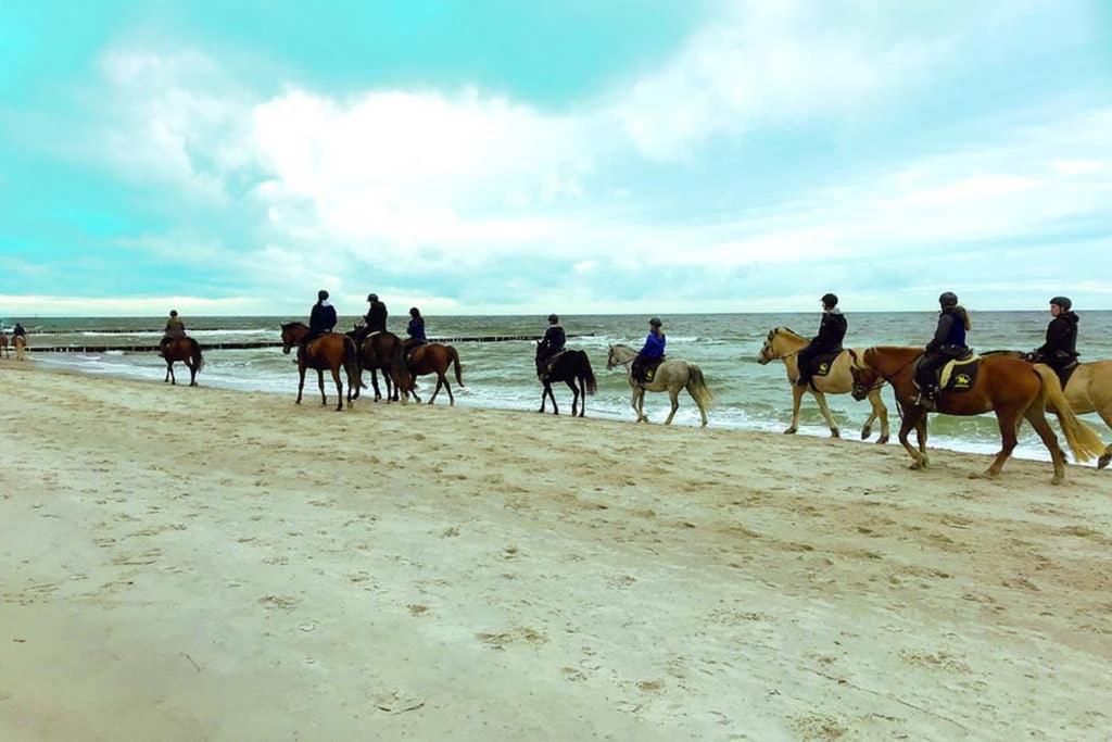 Ostsee-Ferienwohnung Uhlnuest Graal-Mueritz Gelbensande 外观 照片
