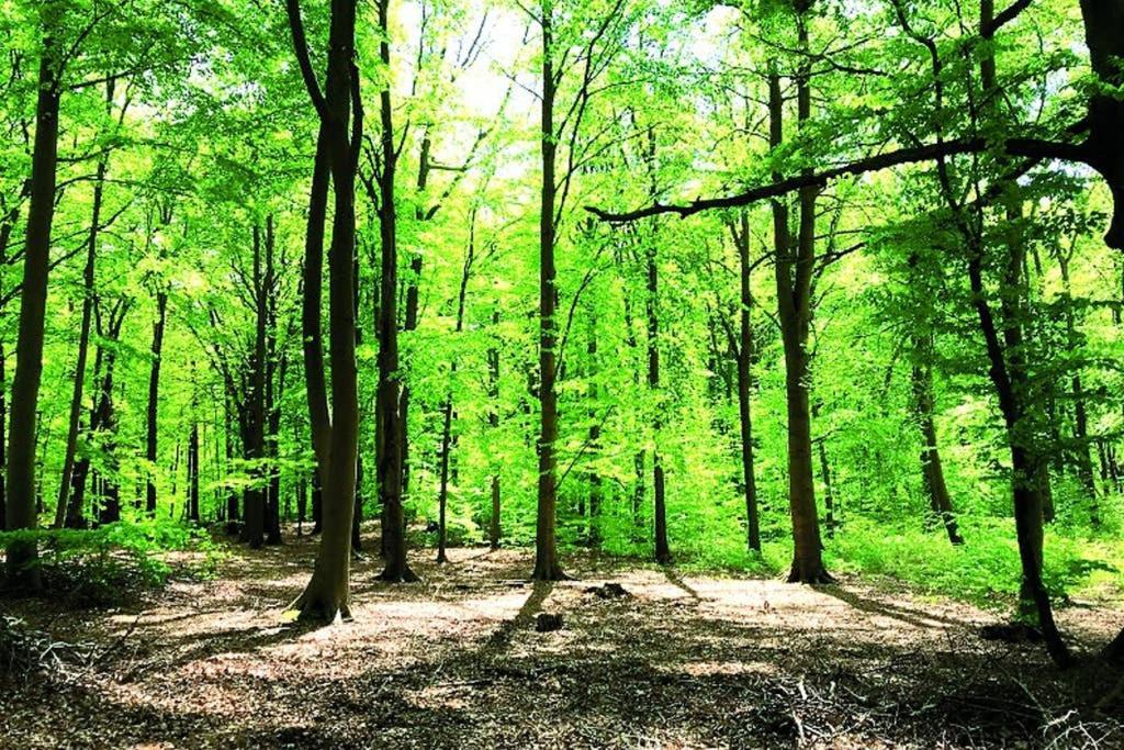 Ostsee-Ferienwohnung Uhlnuest Graal-Mueritz Gelbensande 外观 照片
