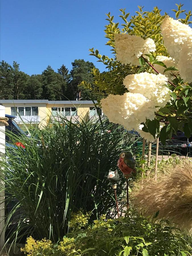 Ostsee-Ferienwohnung Uhlnuest Graal-Mueritz Gelbensande 外观 照片